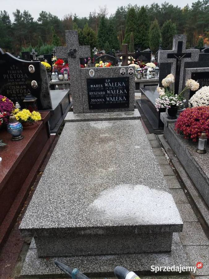 Renowacje pomnikow lastryko Legionowo