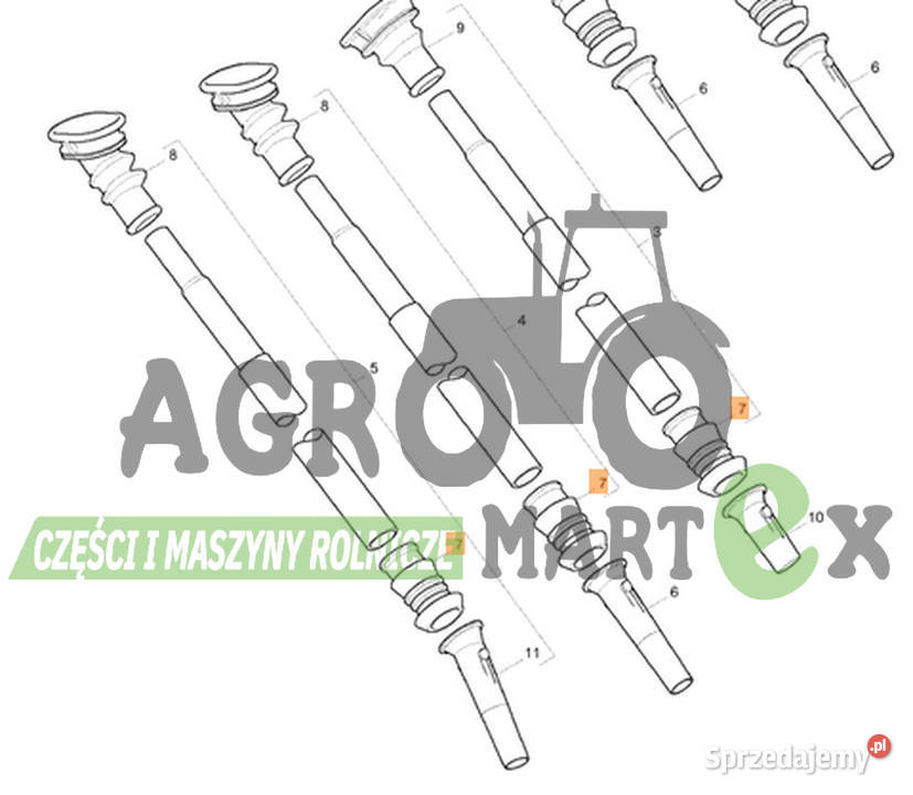 951955 MIESZEK DOLNY AMAZONE dolnośląskie Wichrów