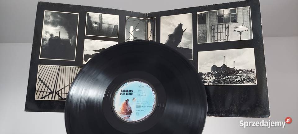 Płyty winylowe Pink Floyd mazowieckie