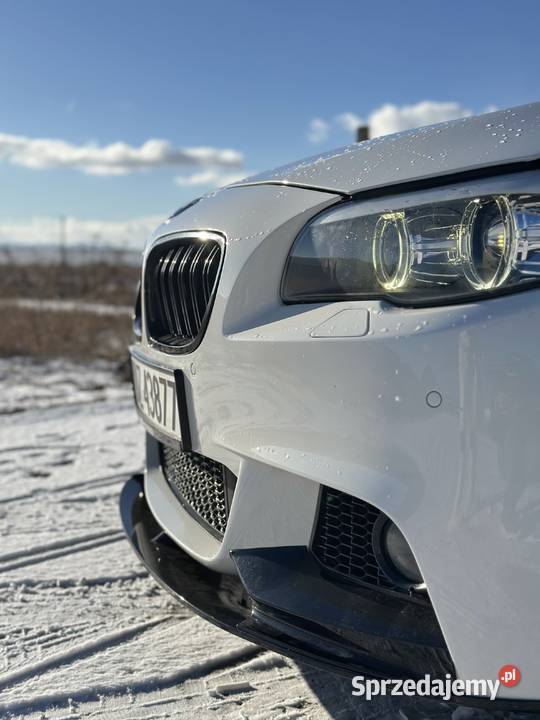 BMW Seria 5 530d xDrive Seria 5 Starogard Gdański