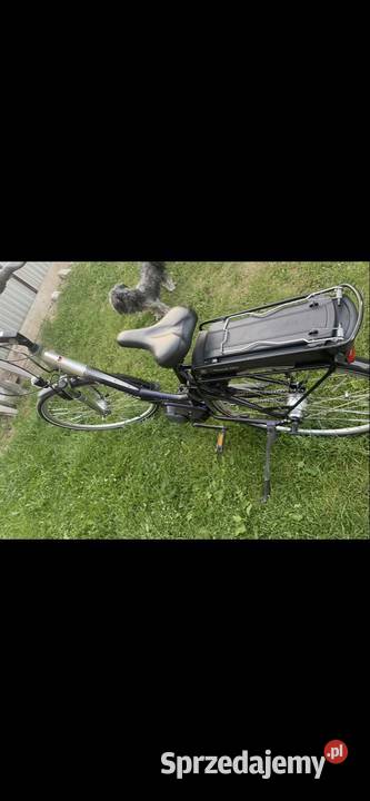 Rower SAXONETTE DELUXE M Dobruchna