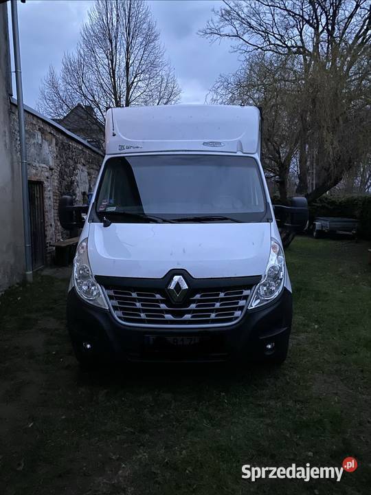 Master Lubań sprzedam