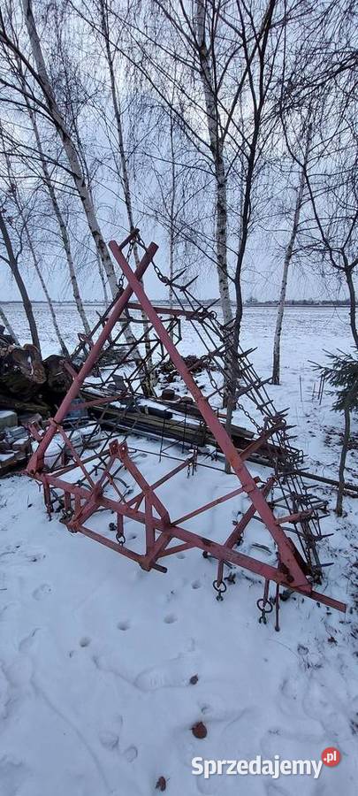 Brony lekkie Ślesin