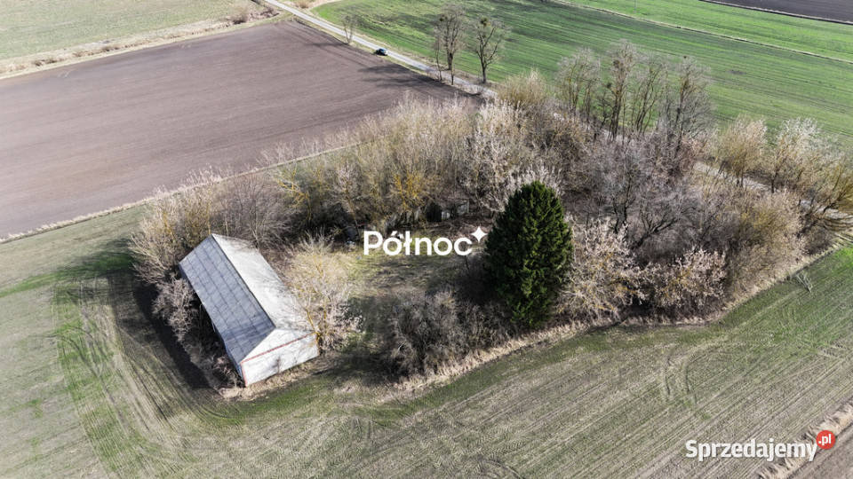Działka rolnosiedliskowa w Szpikołosach 524 ha asfalt