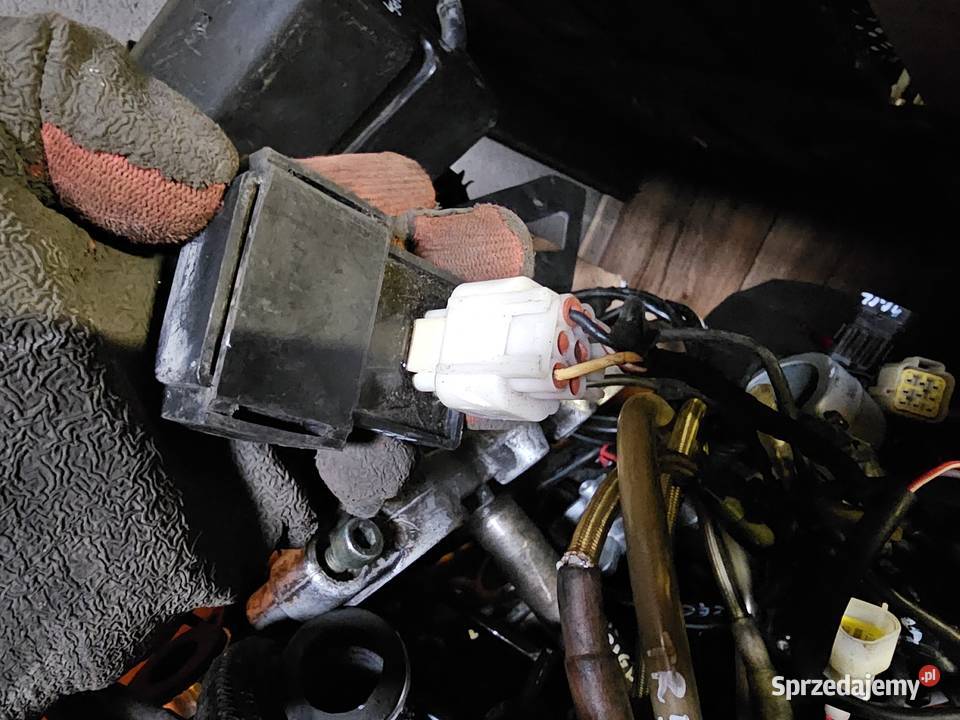 Generic trigger TR 50 SM moduł zapłonowy Jelenia Góra