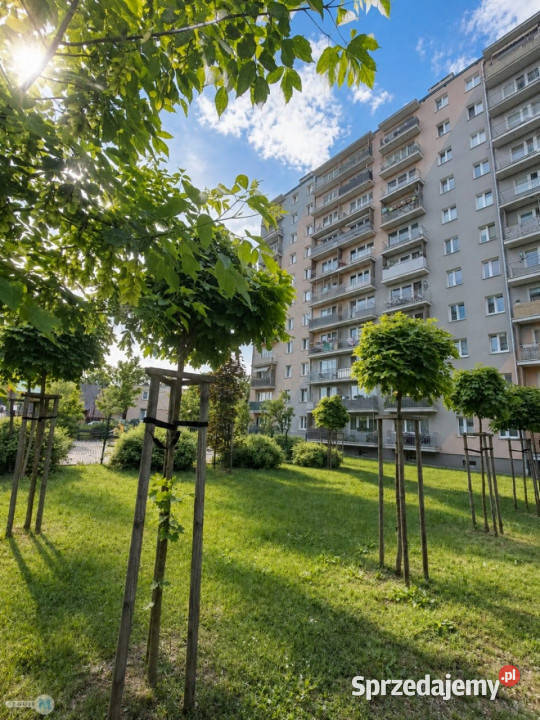 sprzedaży mieszkania Kielce 37m2 2 pokoje 37m2