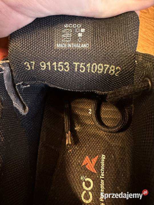 buty trekkingowe Ecco Terra gtx Wrocanka