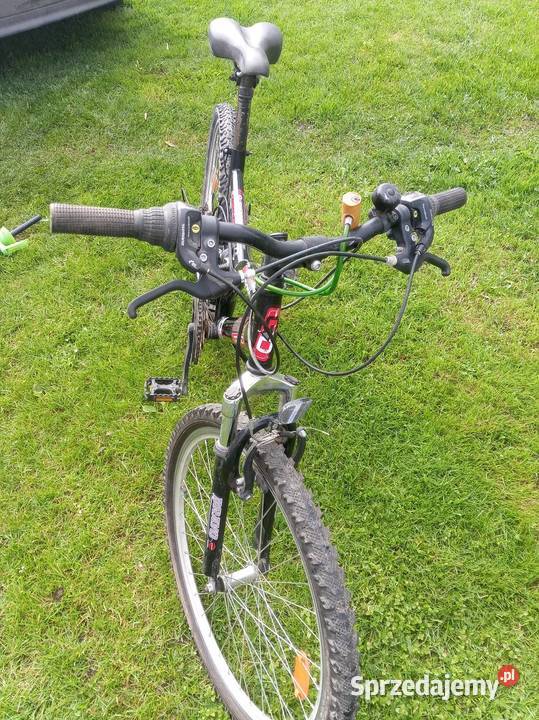 Rower na amorach 26 Chrzanów