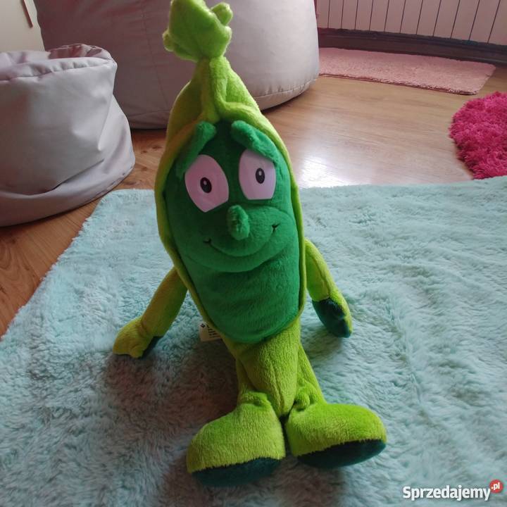 Groszek Grześ Świeżak Trzebinia