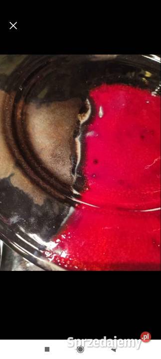 DEKORACYJNA PATERA ENERGETYCZNY AKCENT HAND MADE Rękodzieło