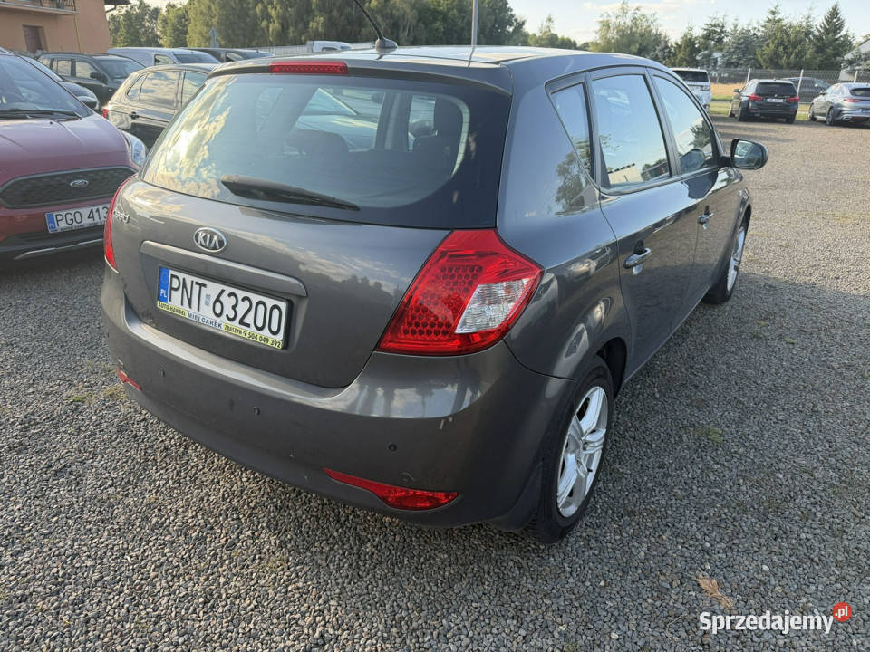 Kia Ceed Klima gwarancja 90 I 20062012 Zbąszyń