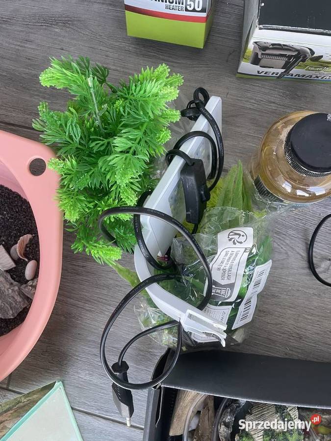 Akwarium 10l Gdańsk