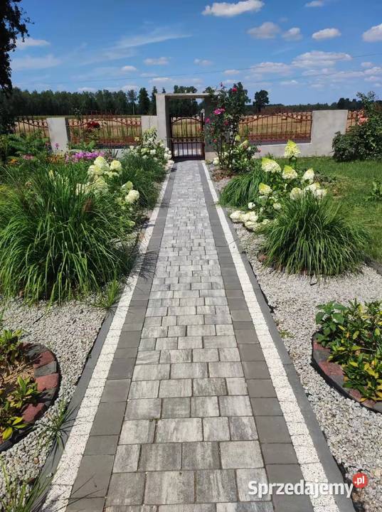 Dom Garaż hala działka Michalinów sprzedam