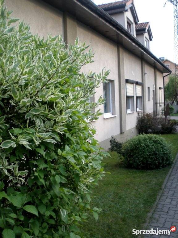 Mieszkanie Poznań Luboń Wiry 6688 mkw15 4194zł/m2 Wiry