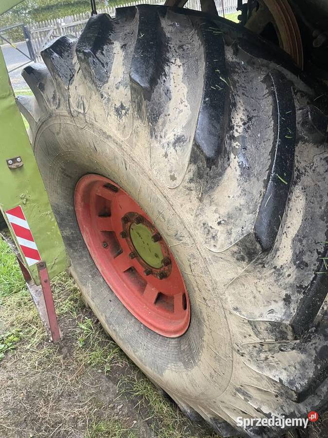 Claas dominator w całości na części Zbożowe wielkopolskie Kobyla Góra sprzedam