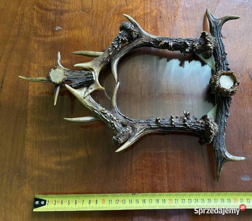 Ramka z poroża jelenia Pozostałe Proszowice