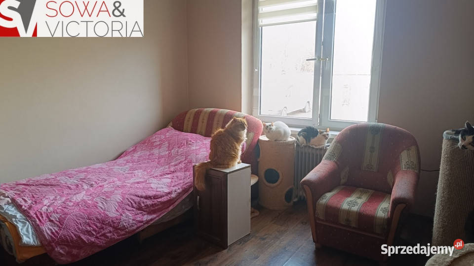 Słoneczne mieszkanie w ładnej kamienicy Sprzedaż Wałbrzych