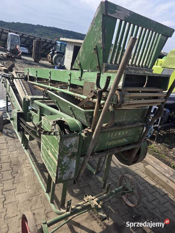 Sortownik do ziemniaków Amazone z podajnikiem podkarpackie Domaradz