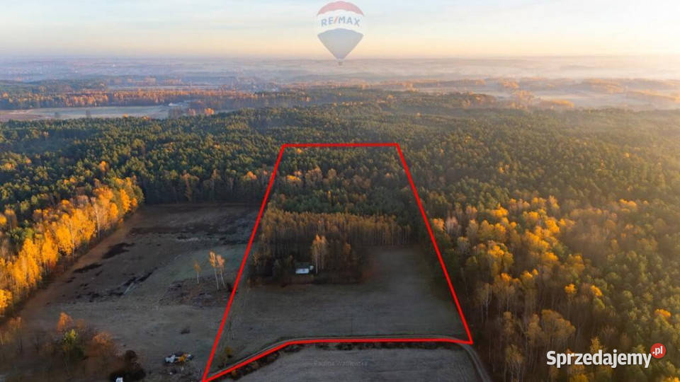 4 hektary wolności pod Warszawą Ostrowik