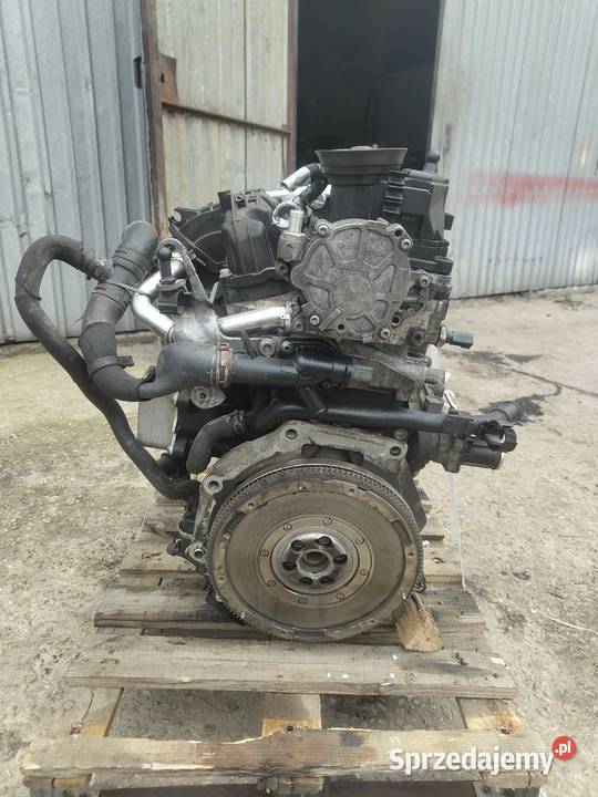 Silnik volkswagen polo 2010 16TDI CAYB