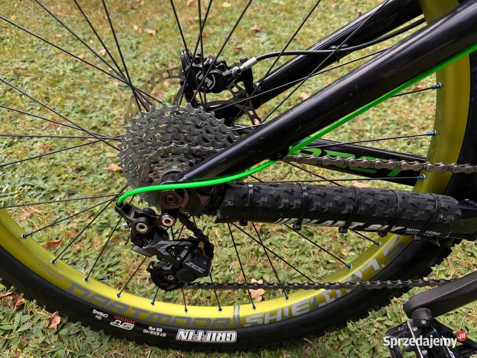 Rower Dartmoor Hornet Rowery dolnośląskie