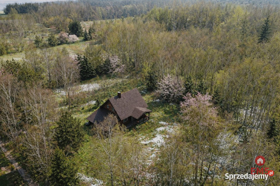Sprzedaż domu wolnostojącego Skrybicze 6991m2 wolnostojący