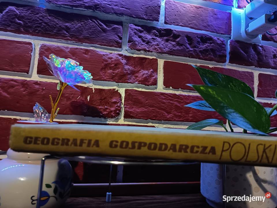 Geografia Gospodarcza Polski Warszawa 1968 Bydgoszcz