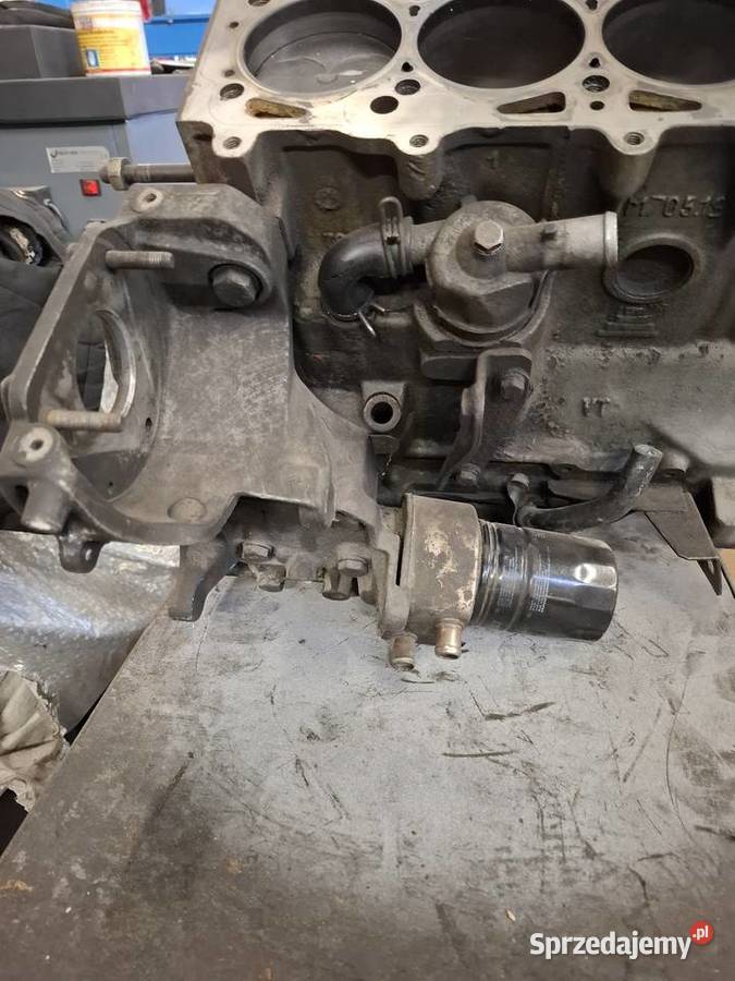 Silnik słupek głowica Fiat ducato 19td kamper Fiat Zielona Góra