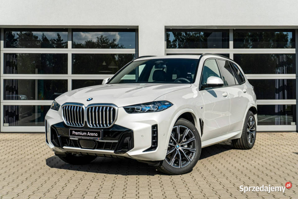BMW X5 X5 xDrive30d Dostępny ręki G05 2018 kurtyny powietrzne X5 Łódź
