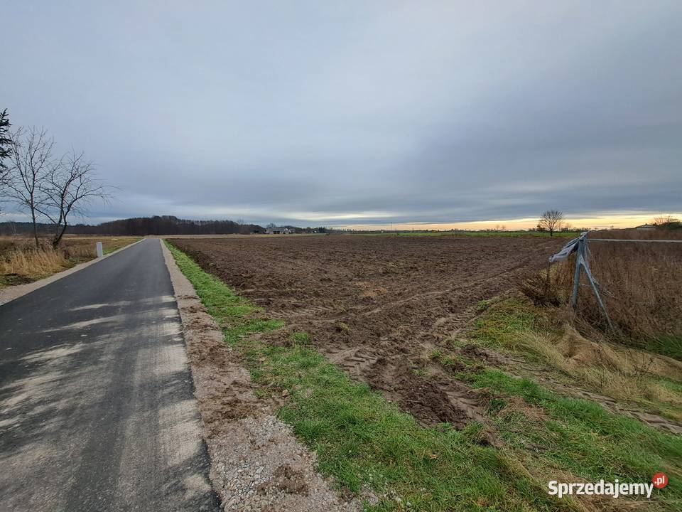 Pole uprawne 25ha Kodrąb
