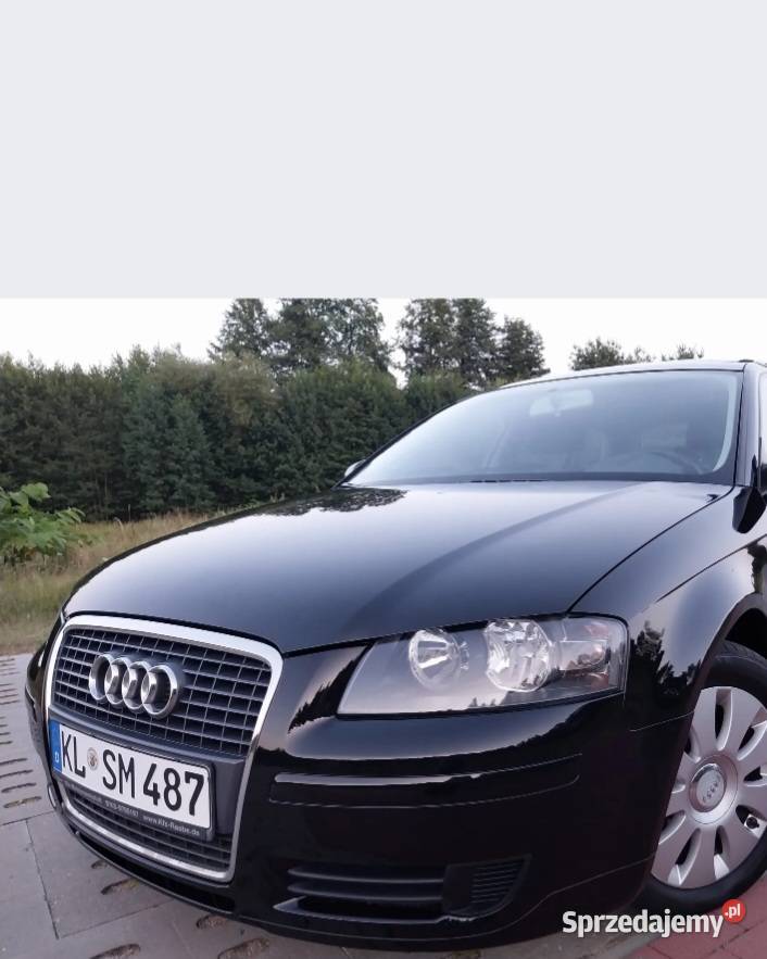 Audi A3 8P 19 TDIPiękna Czarna Woda
