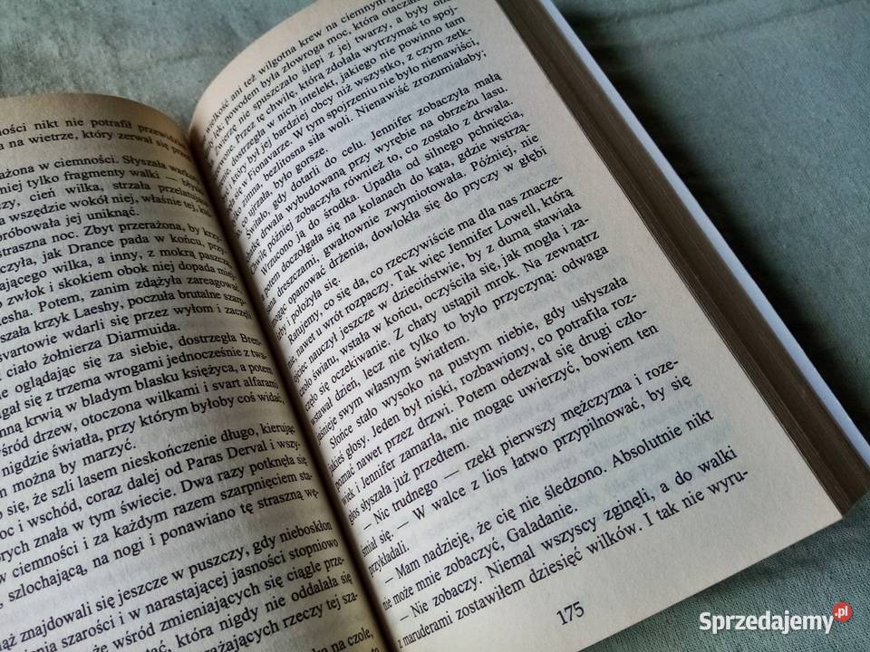 Książka Letnie Drzewo Guy Gavriel Kay wyd 1995 Sosnowiec