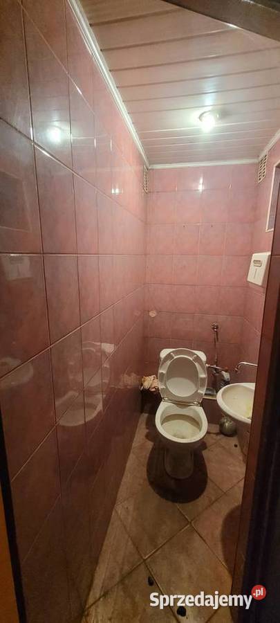 Lokal do wynajęcia Bytom sprzedam