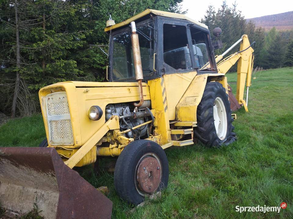 Ostrówek w zlomu Mirsk