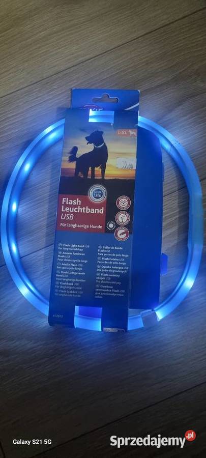 Trixie obręcz z lamp błyskowa USB LXL Kaliszki