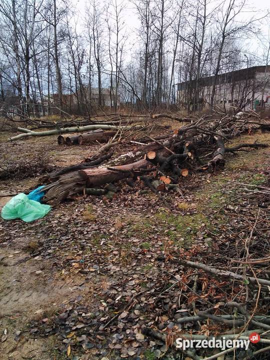 Drewno opałowe kominkowe liściaste Opał dolnośląskie Żarów