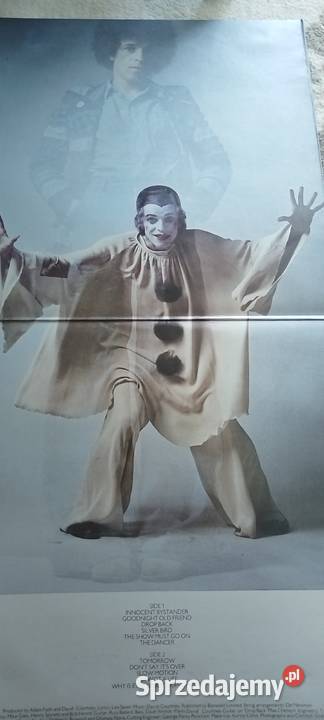 Leo SayerChrysalis 1973 płyta vinyl zachodniopomorskie Szczecin