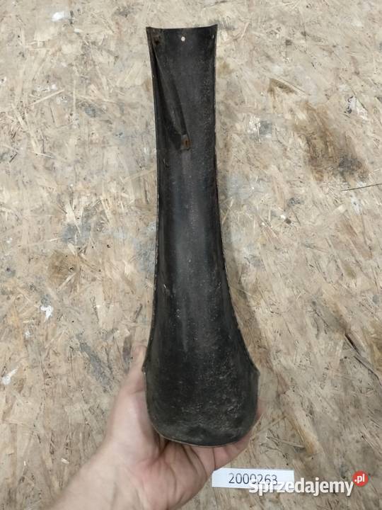 Komar błotnik przedni Rozkochów