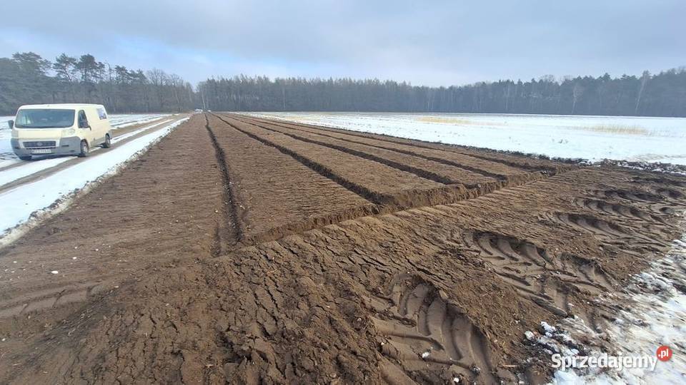 Mulczowanie wgłebne Czyszczenie działekWycinka Łomża