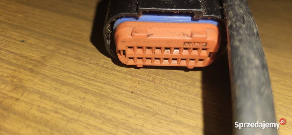 Wiązka tm racing 2t 2008