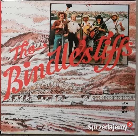 Płyty analogowe z muzyką rozrywkową lat pop Płyty i kasety wielkopolskie Wronki