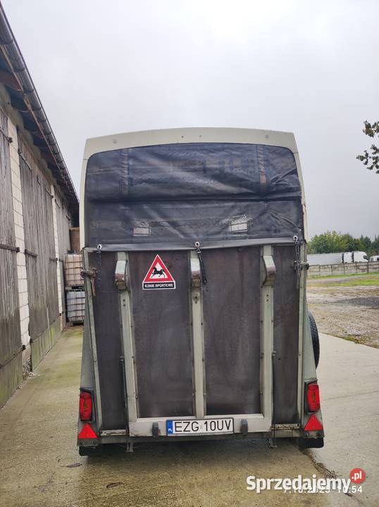 Przyczepa do koni Brenderup łódzkie Zgierz