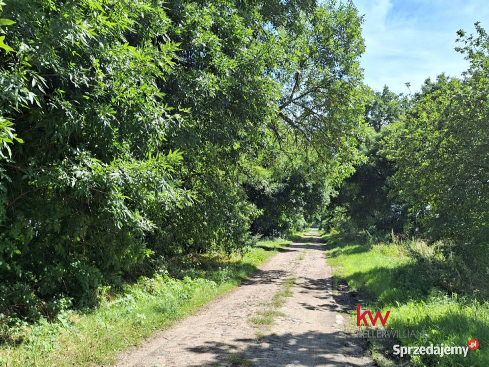 Działka Murzynowo 591m2