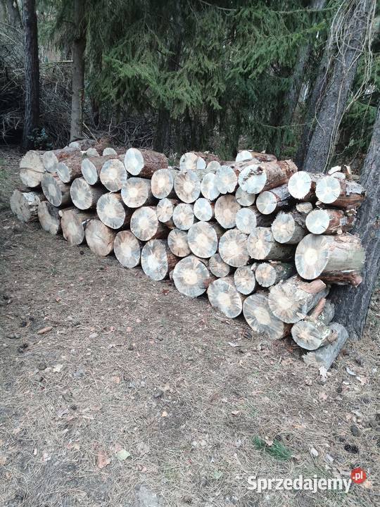 Sprzedam opał sosnowy Wyszków sprzedam