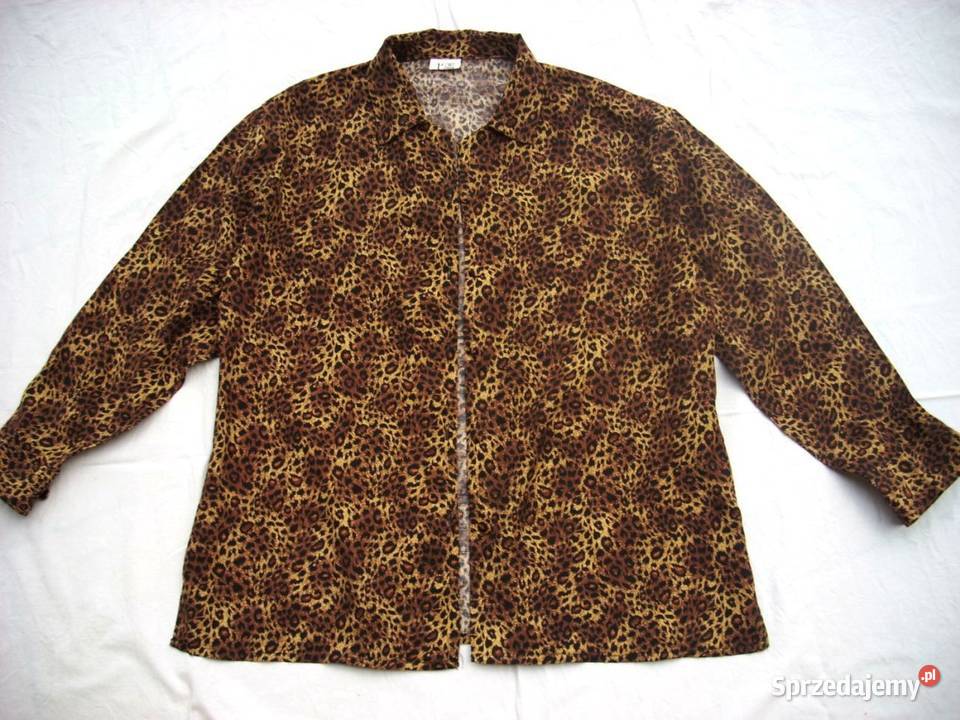 Koszula Panterka Bawełna J Nowa 42 44 Nowy Sącz