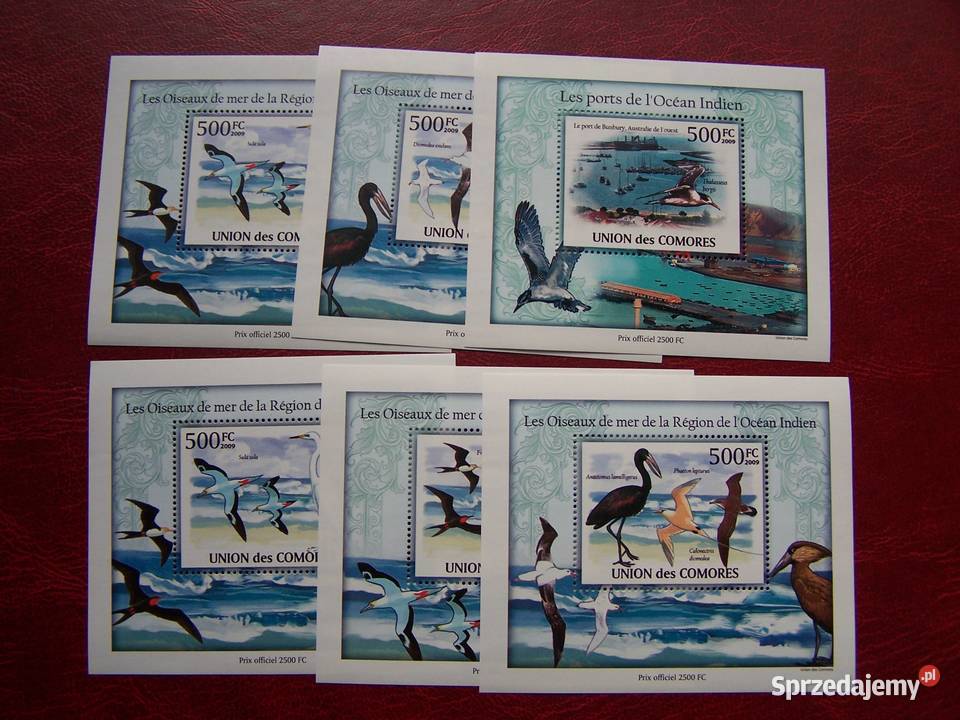 Komory 2009 MNH Fauna Ptaki Morskie Nakład 2500 Tychy