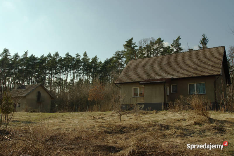 DOM LEŚNICZÓWKA Zawonia