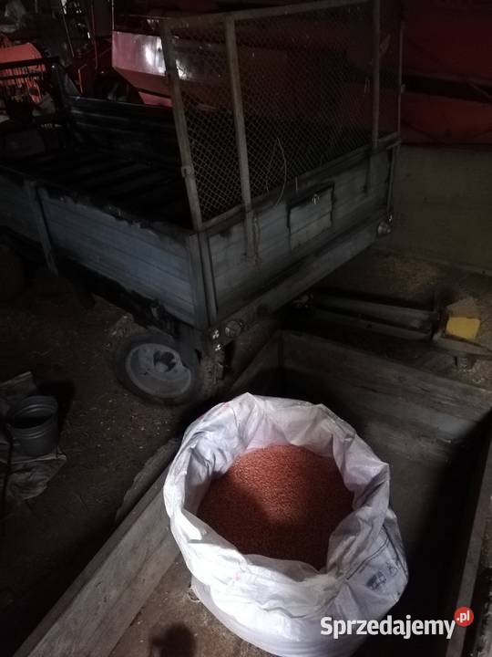 Sprzedam rozrzutnik Czarna białostocka lubelskie Werbkowice