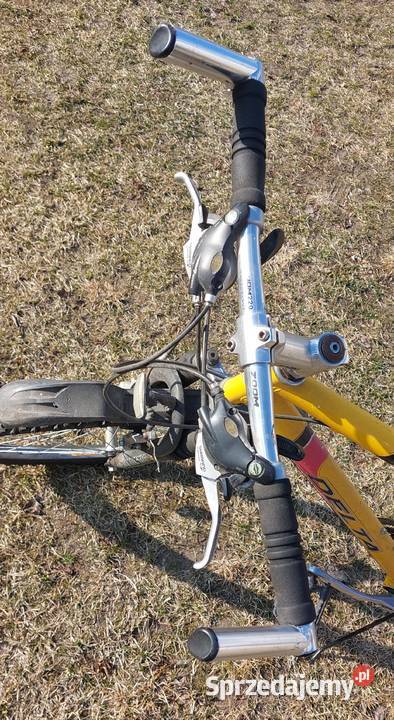 Rower delta Augustów