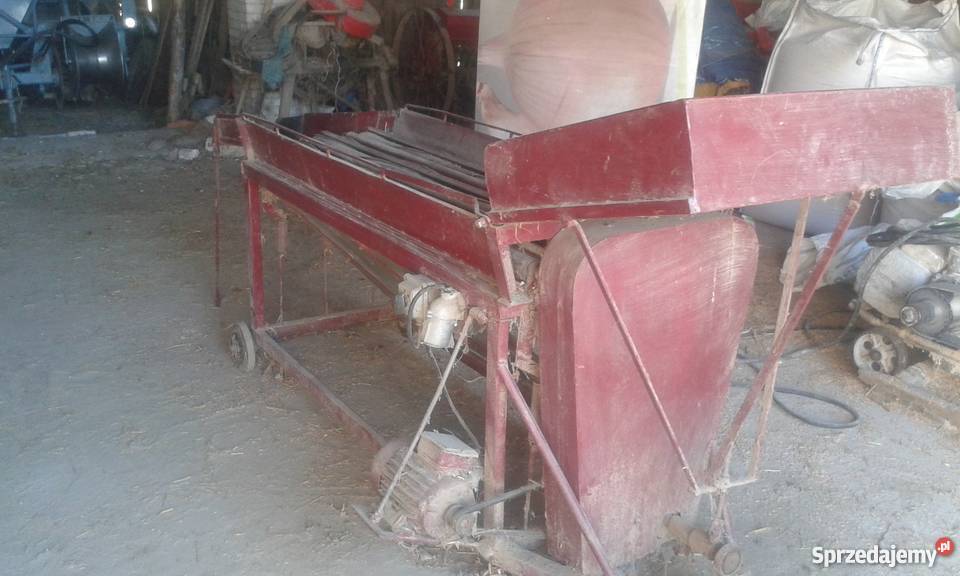 Czyszczarka do cebuli Maszyna do cebuli Obcinacz Gniewoszów